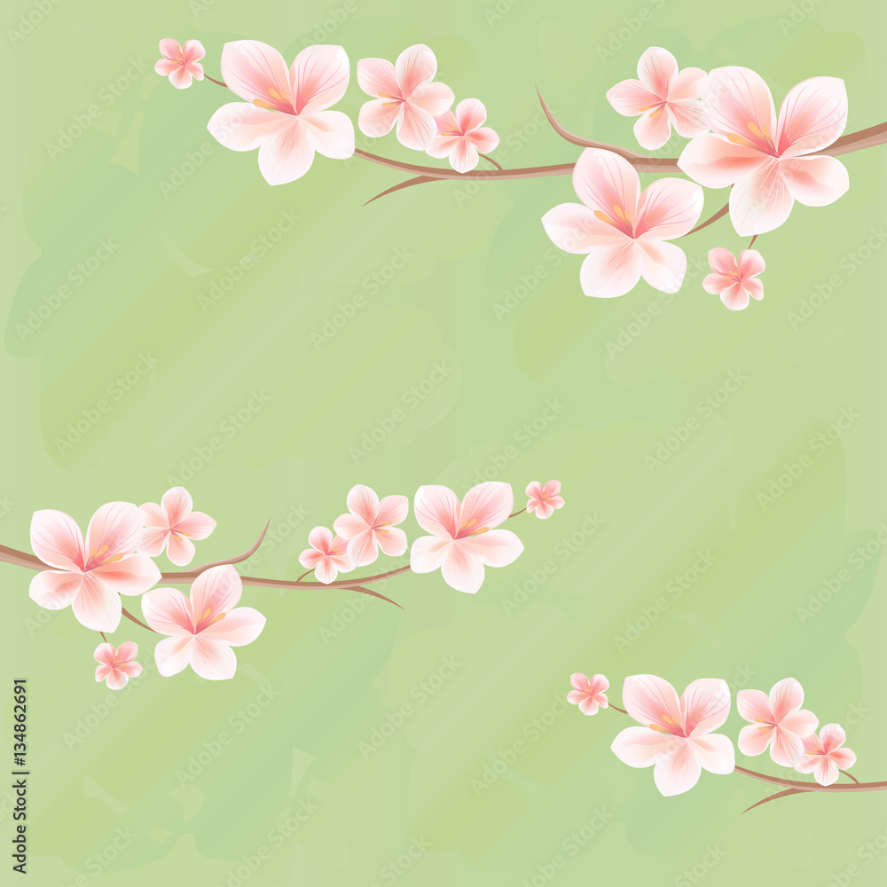 Flowers design. Flowers background. Branches of sakura with flowers. Cherry blossom branches on green background. Vector 