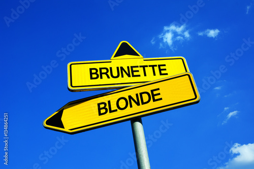 Brunette vs Blonde - Traffic sign with two options - natural color of hair and hair coloring. Question of attractiveness, fashion and cosmetics. Preference for dark and black or light and yellow 