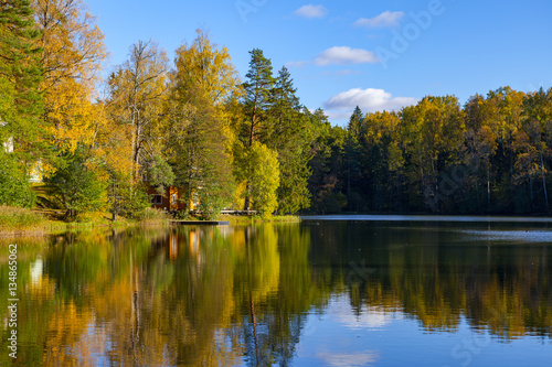 Autumn forest reflection in pond, Aegviidu, Estonia