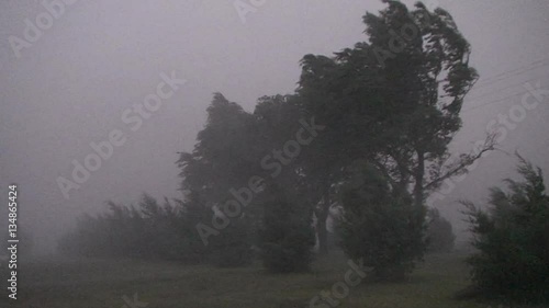 Heavy Rain and High Winds in Thunderstorm in Field