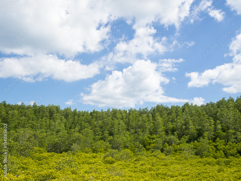 Landscape with green and yellow tiny trees blurred foreground in Landscape with green and yellow tiny trees blurred foreground in