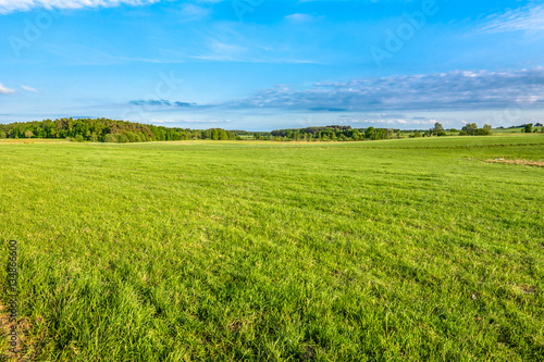 Green field of grass in spring, landscape