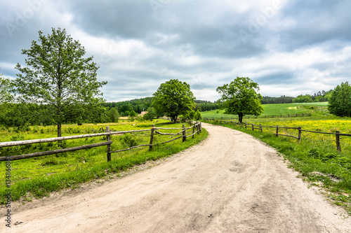 Rural road on farm with green field, summer landscape