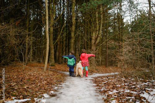 Boy, girl and dog deciding direction to woodland 