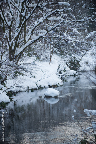 冬と渓流 © 歌うカメラマン
