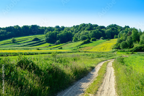 Green rolling hills in Roztocze,Poland
