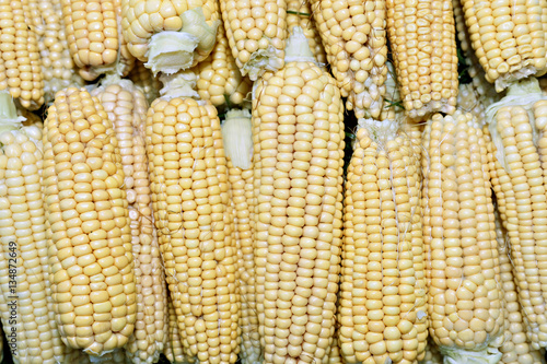 Background of fresh yellow corn cobs