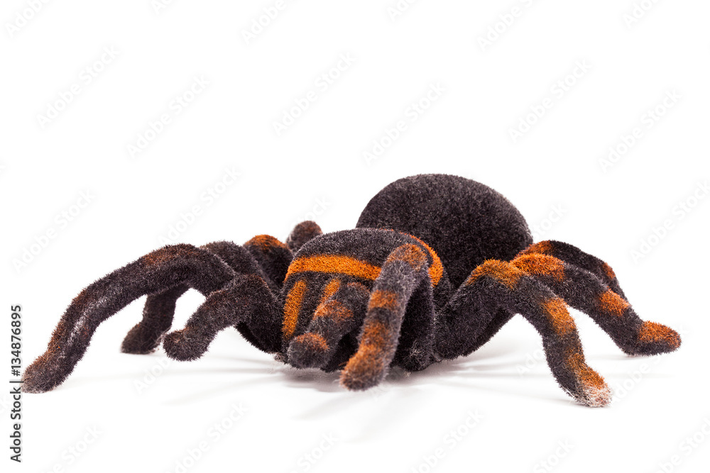 Black and orange spider stuffed animal isolated on white Stock Photo |  Adobe Stock