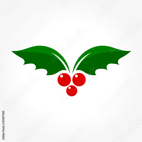 Holly berry vector
