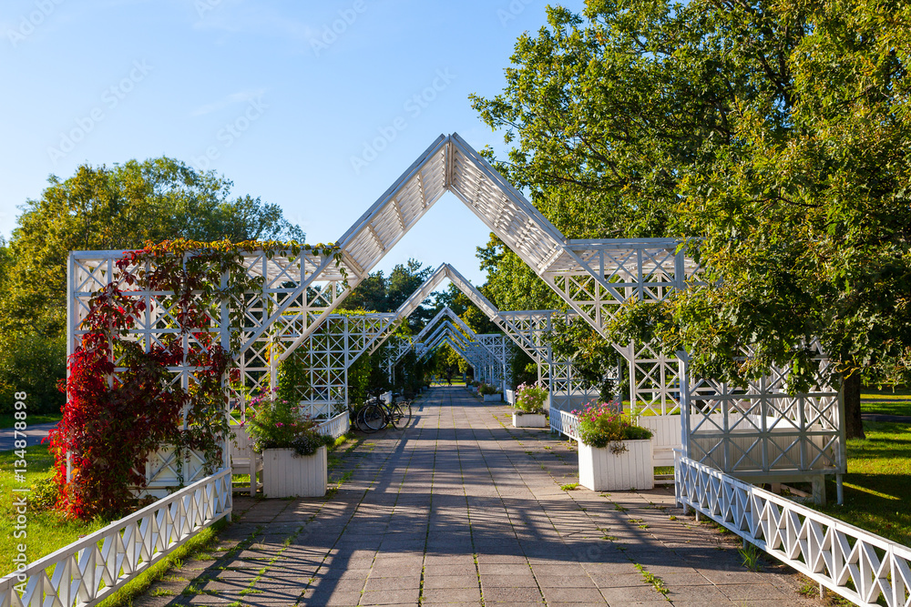 Obraz premium White fence and greenery on blue summer sky. Parnu, Estonia