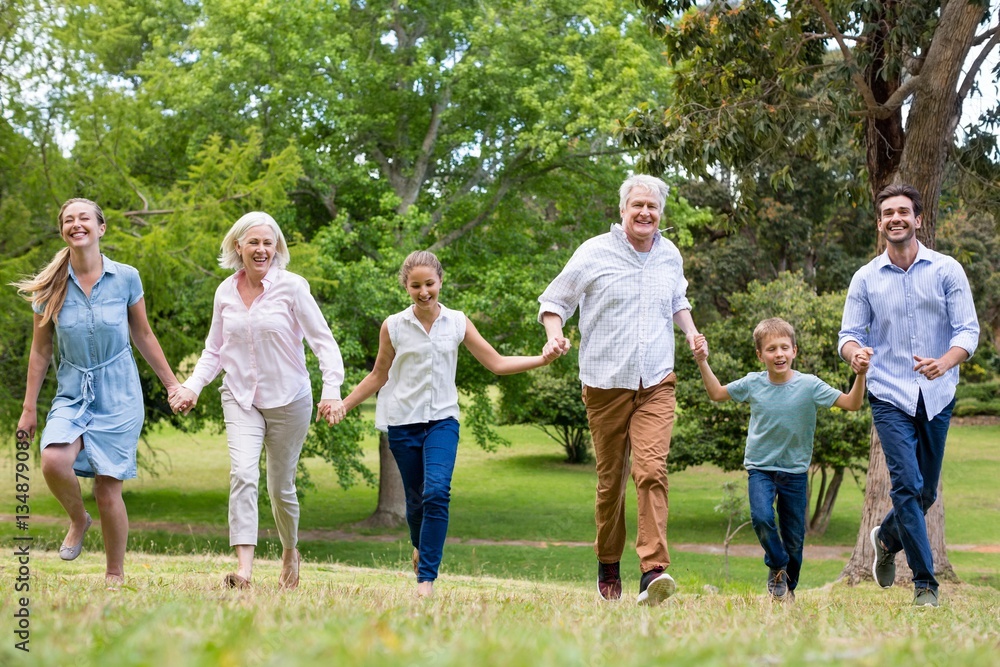 Multi-generation family enjoying together in park Multi-generation family enjoying together in park