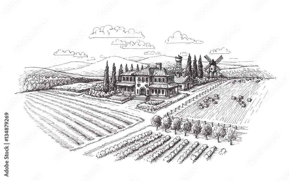 Vintage landscape. Farm, agriculture sketch