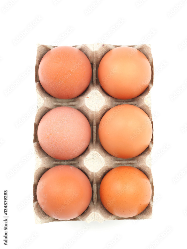 Organic eggs in paperboard egg cartons isolated on white Organic eggs in paperboard egg cartons isolated on white