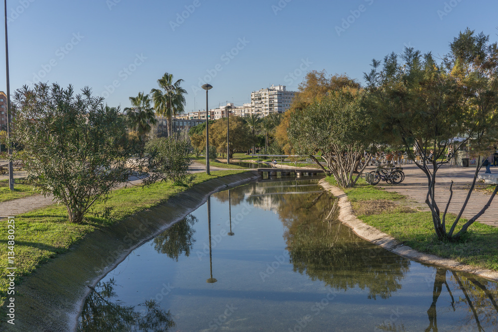 Beautiful landscape of Turia River gardens Jardin del Turia, leisure and sport area in Valencia, Spain. With trees, grass and water mirrors