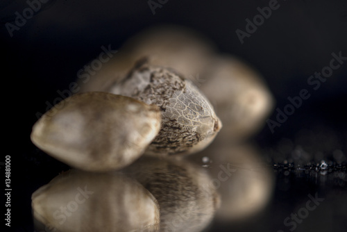 Marijuana seeds over dark reflective background - cannabis growi