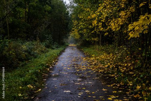 Herbstlicher Wanderweg am Sultmerberg in Northeim