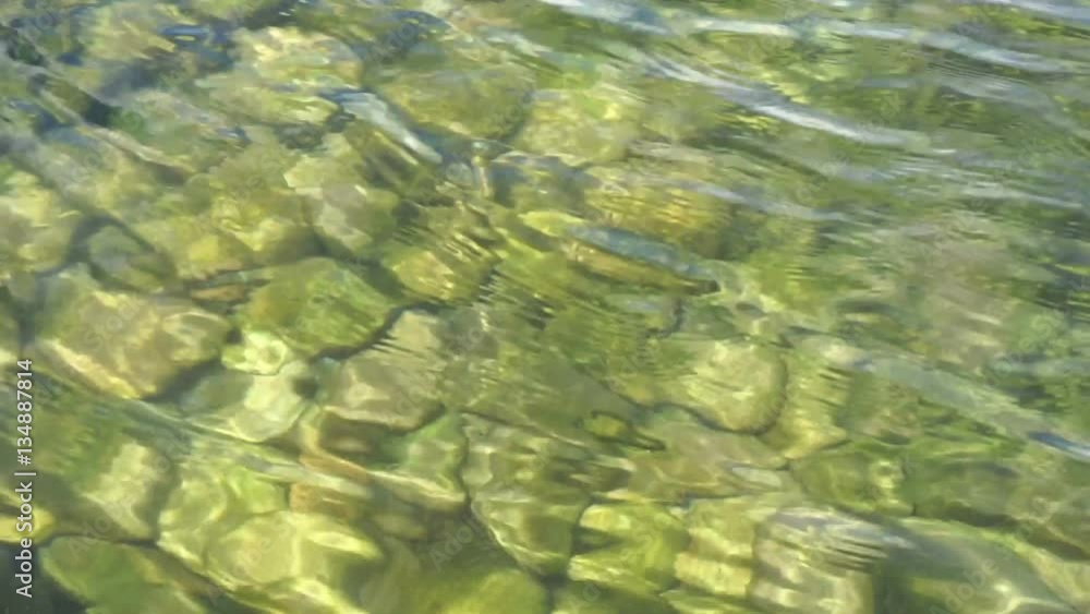 Stones under water and ripples on the water surface. Pebbles under clear water, stones covered by algae. Stones under water and ripples on the water surface. Pebbles under clear water, stones covered by algae.