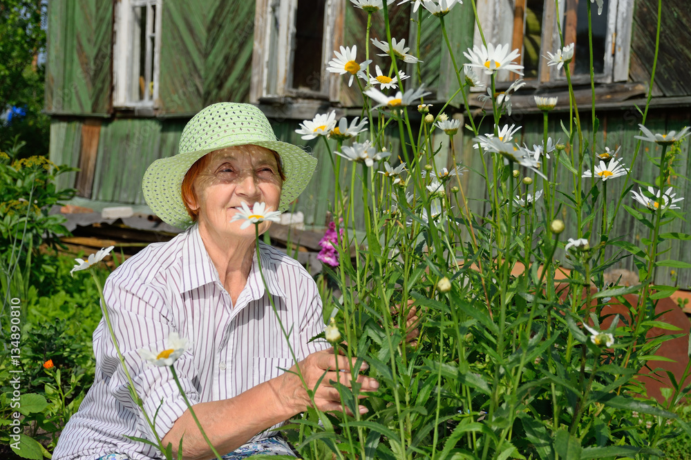 Elderly smiling woman squatting near a Bush large garden of dais