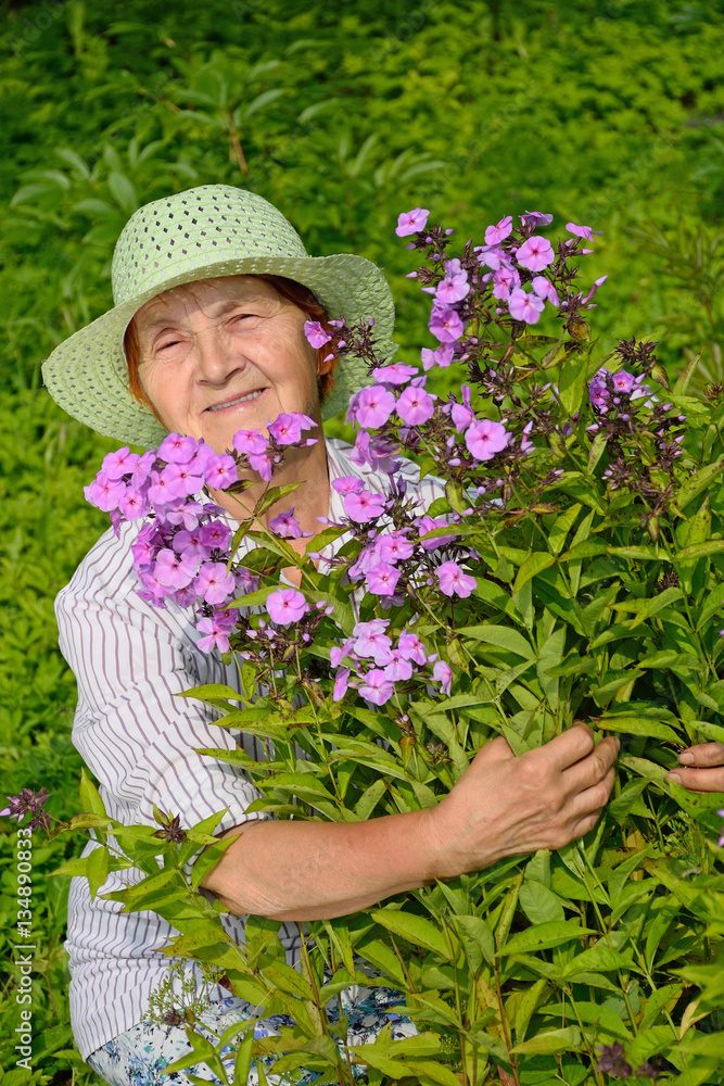 The elderly woman smiles and hugs the large Bush of lilac Phlox