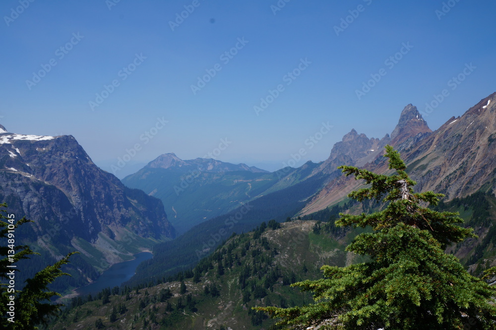 Winchester Loookout near Mt Baker in the Great Pacific Northwest