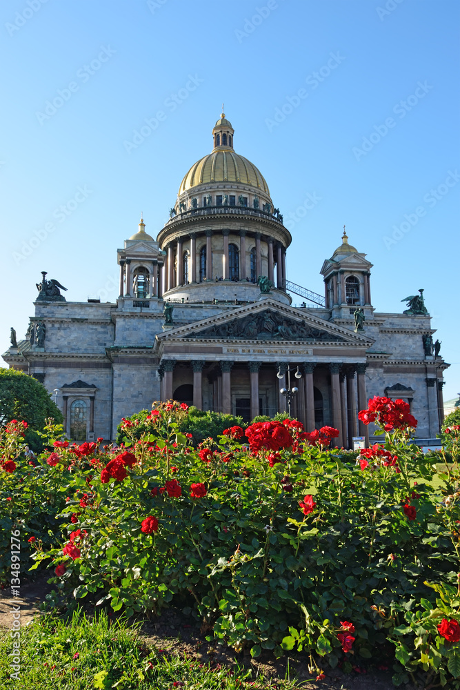 St. Isaac's Cathedral on a background of red roses on the square