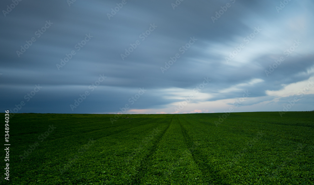 Obraz premium Green field and cloudy sky