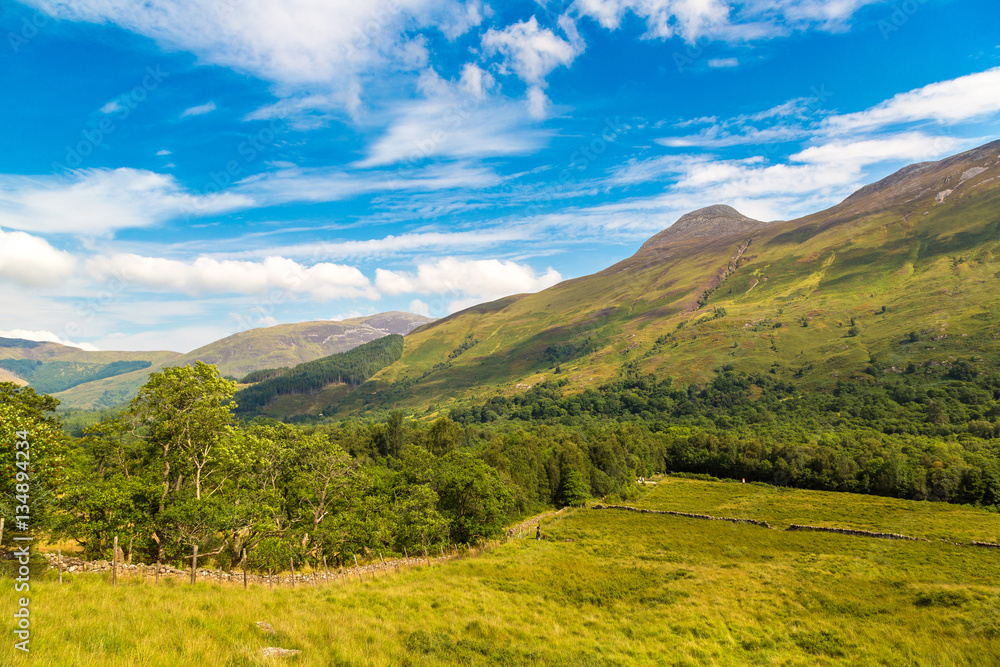 Fototapeta premium Summer in Scotland highlands, United Kingdom