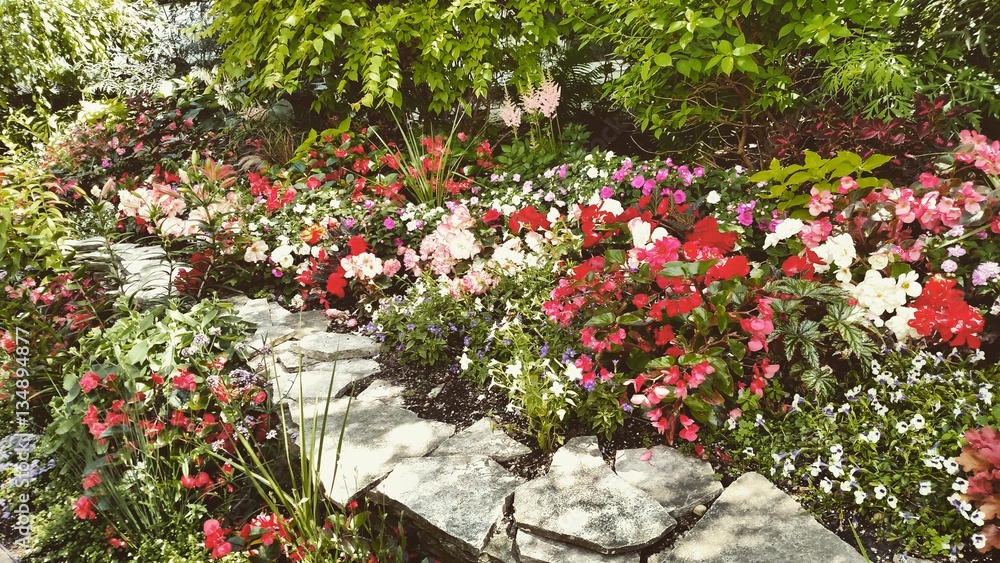 Garden Garden