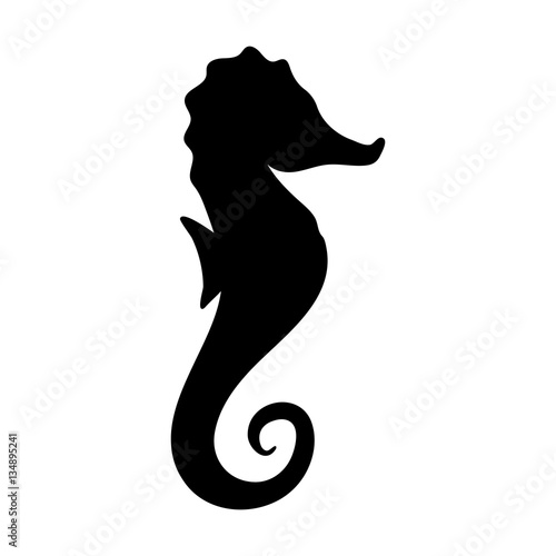 Silhouettes of seahorse, sea animals isolated black and white vector illustration minimal style