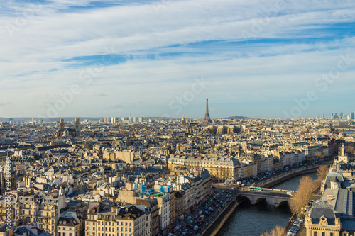 Panorama of the Paris from the top of the tower of Notre Dame, France