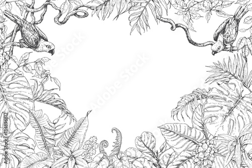 Tropical Plants  and Birds Frame