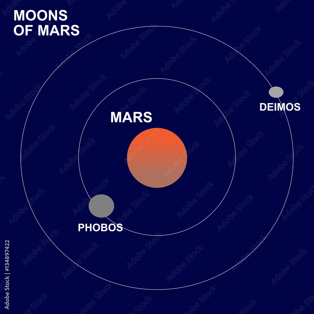 The moons or satellites of Mars Phobos and Deimos. Stock Vector