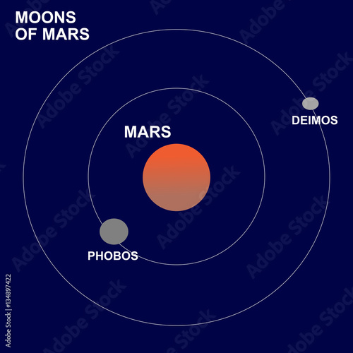 The moons or satellites of Mars: Phobos and Deimos.