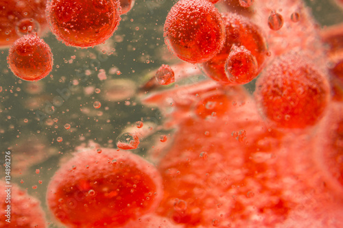 Red Blood Cells