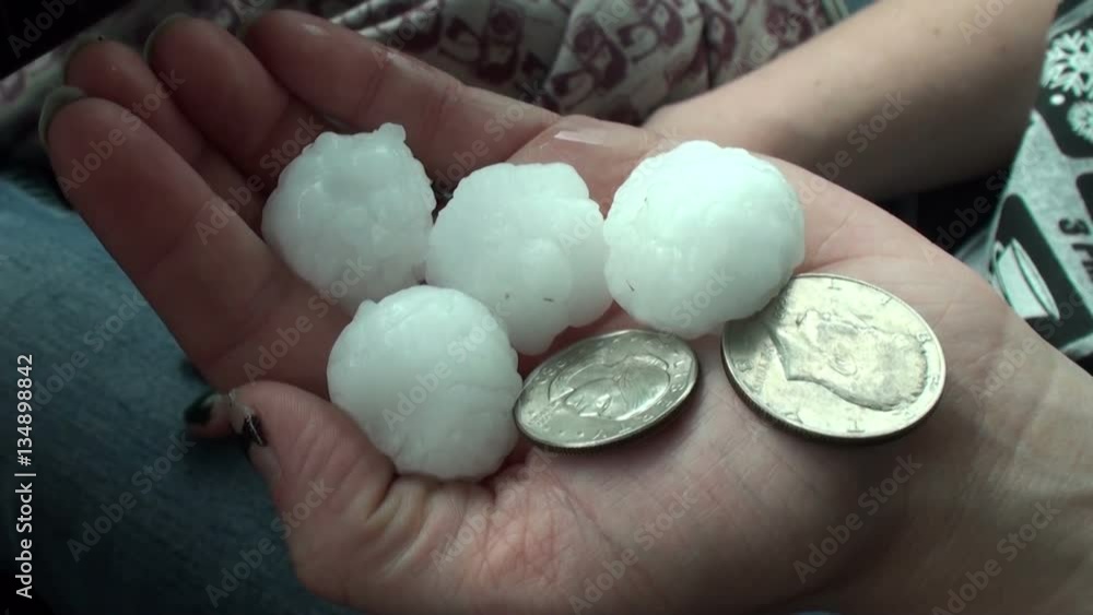 Half Dollar Size Hail Stones Held by Storm Chaser Half Dollar Size Hail Stones Held by Storm Chaser