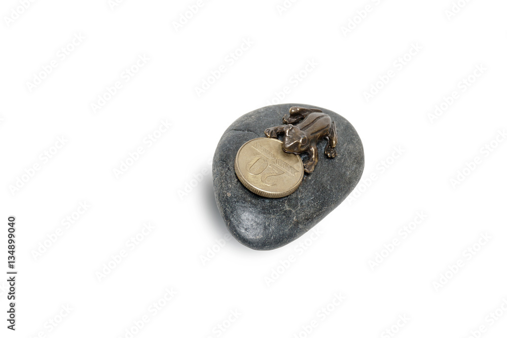 Frog on a decorative stone, with coin Frog on a decorative stone, with coin