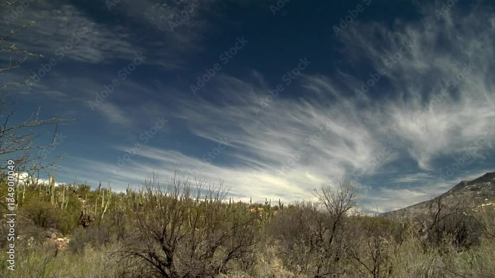 Feathery Cirrus above Sonoran Desert Landscape Feathery Cirrus above Sonoran Desert Landscape