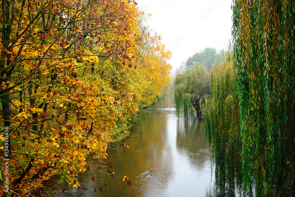 Autumn Landscape. Park in Autumn. The bright colors of autumn in