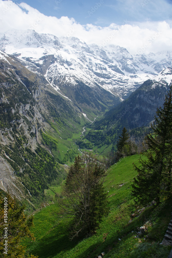 Obraz premium Swiss - 7