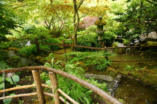 Victoria  Japanese garden