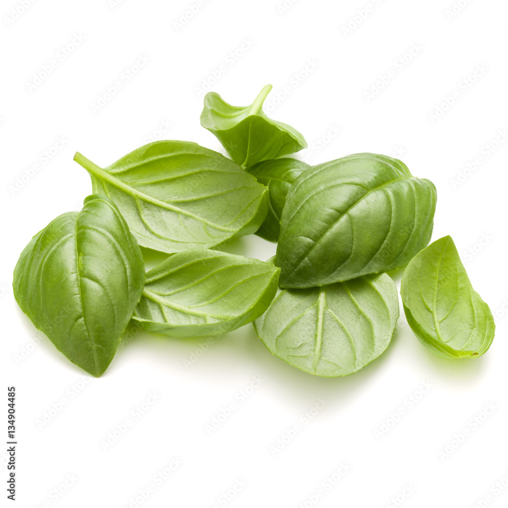 Obraz premium Sweet basil herb leaves handful isolated on white background clo