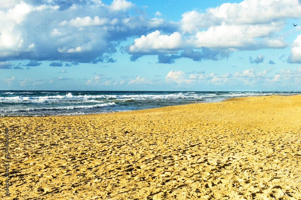 sea beach in the background with blue sky sea beach in the background with blue sky