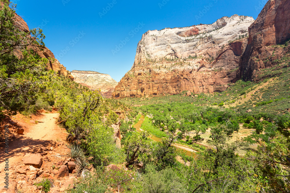 Amazing view of canyon at Zion National Park