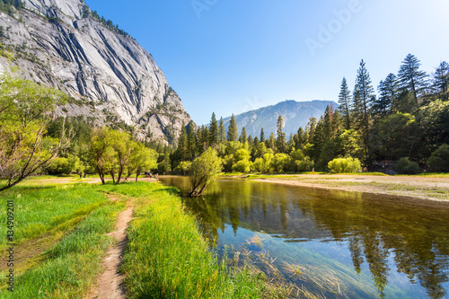 Clear water and evergreen pine forest