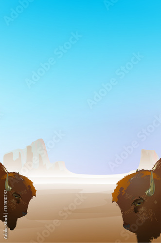 Background illustration with desert landscape and heads of two buffalo, both for print and web photo