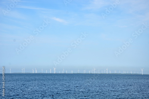wind farm in the Baltic Sea with dozens of windmills