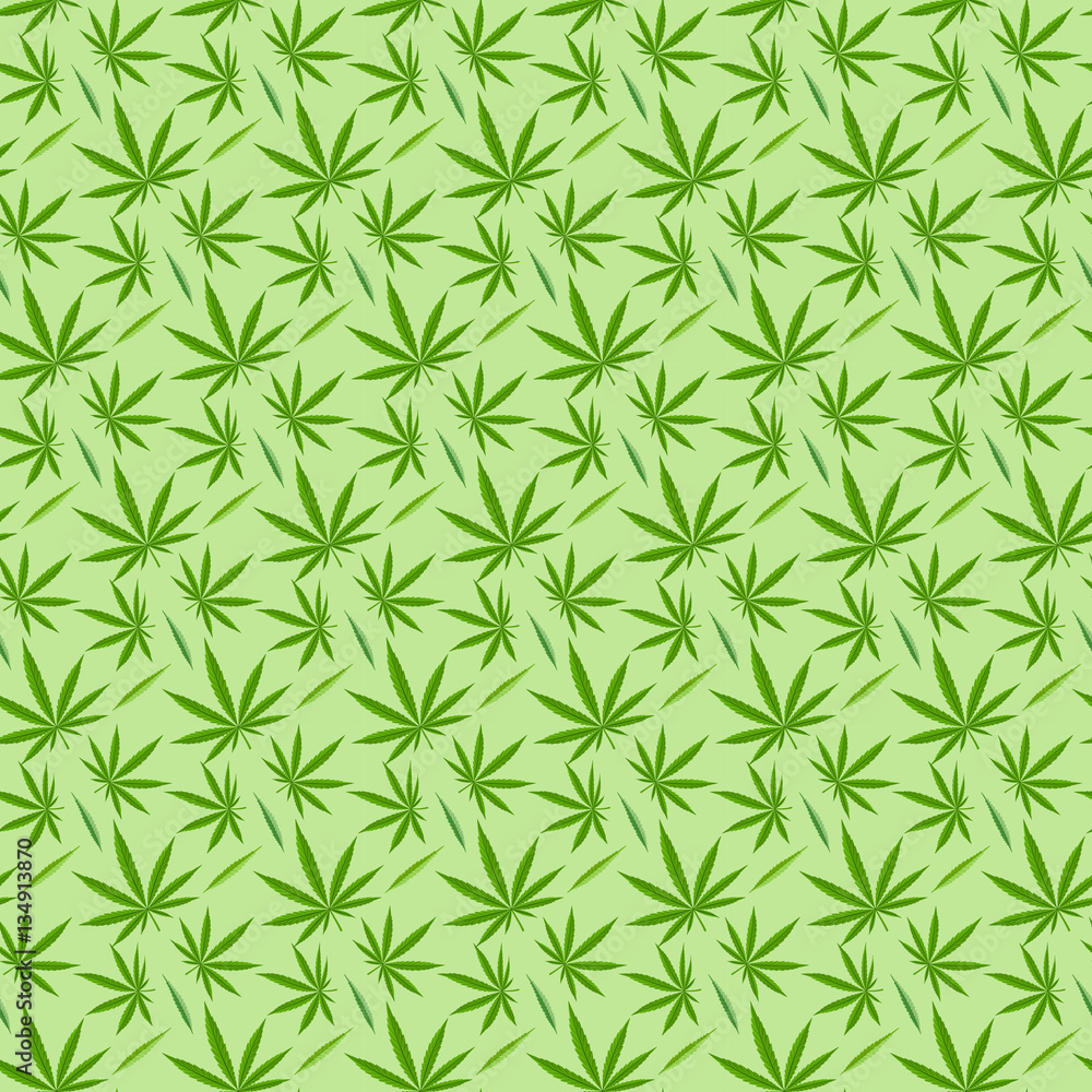 Fototapeta premium Marijuana background vector seamless patterns