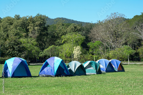 Tourist tent in forest camp among meadow.Tent camping among the