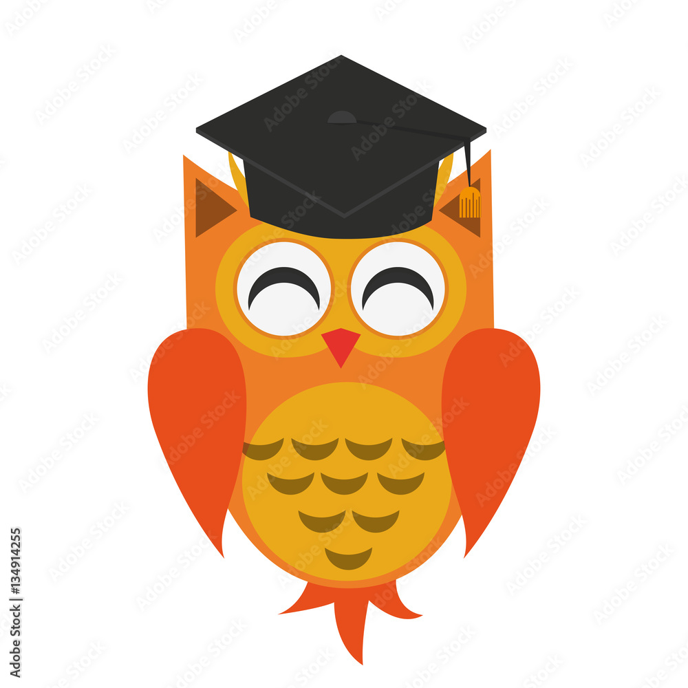 owl with graduation cap over white background. colorful design. vector illustration