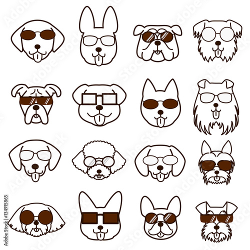 dogs faces with glasses set